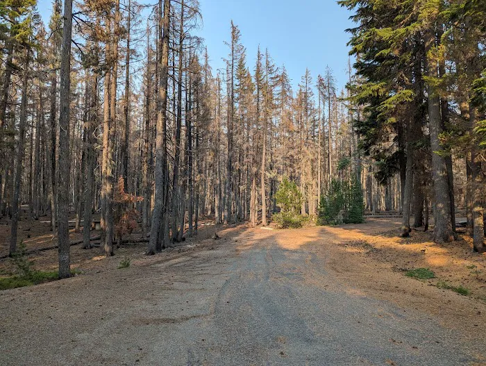 Islet Boat Launch/ Day Use Area (recgovnpsdata) Picture 2