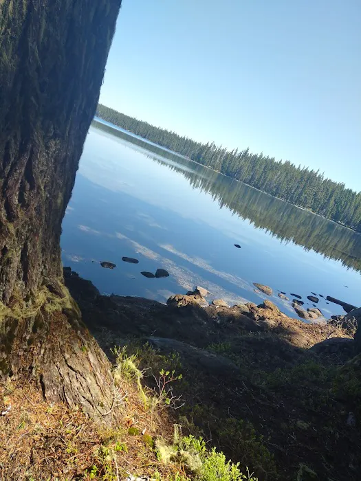 Islet Boat Launch/ Day Use Area (recgovnpsdata) Picture 5