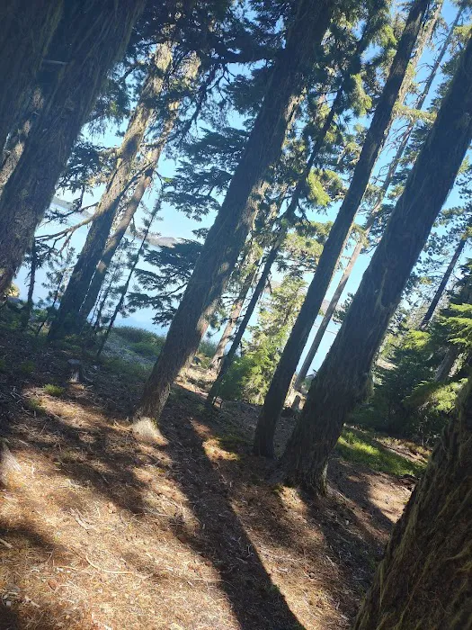 Islet Boat Launch/ Day Use Area (recgovnpsdata) Picture 10