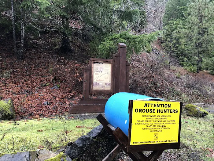 Canton Creek Campground Picture 6