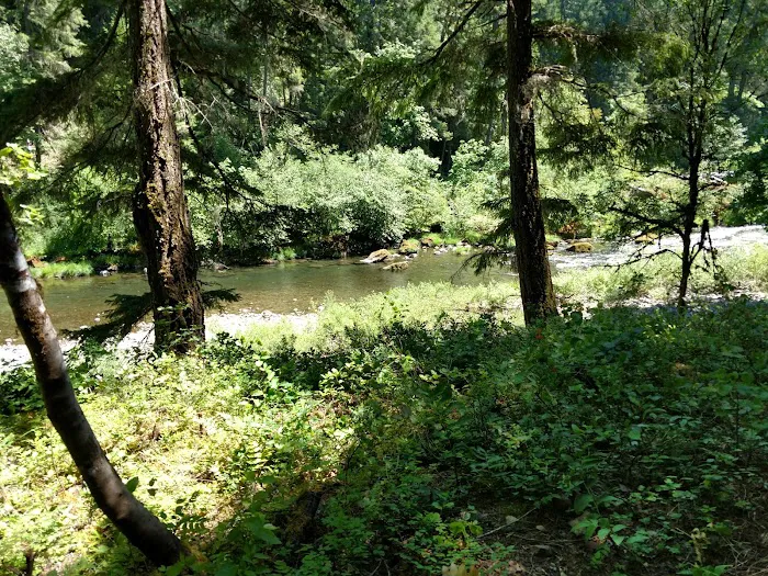 Canton Creek Campground Picture 4