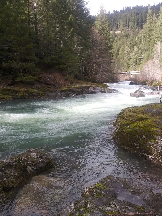 Canton Creek Campground Picture 8