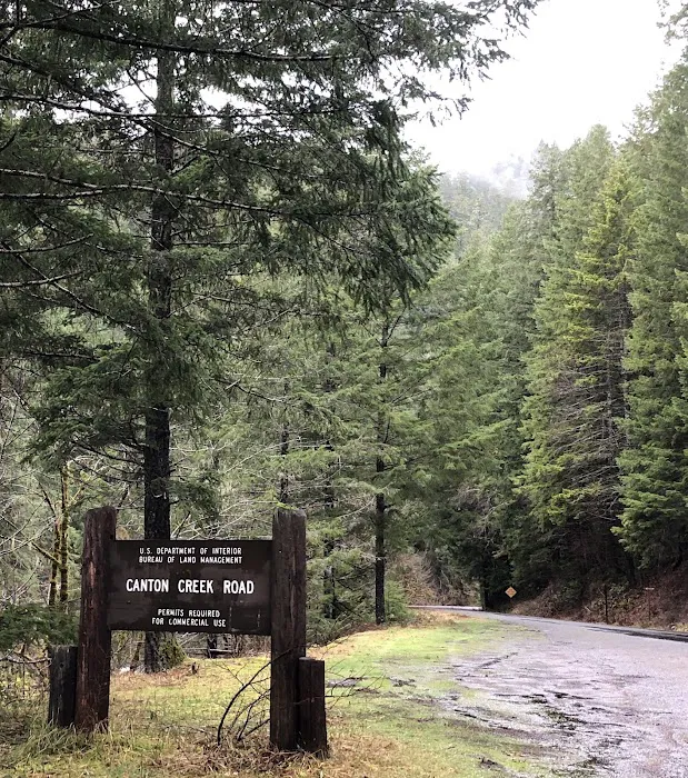 Canton Creek Campground Picture 10