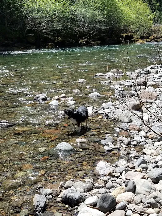 Canton Creek Campground Picture 9