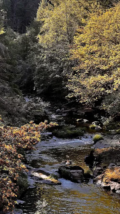 Canton Creek Campground Picture 5