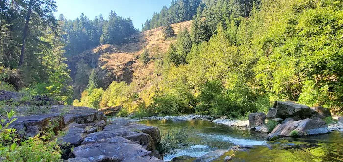 Canton Creek Campground Picture 2