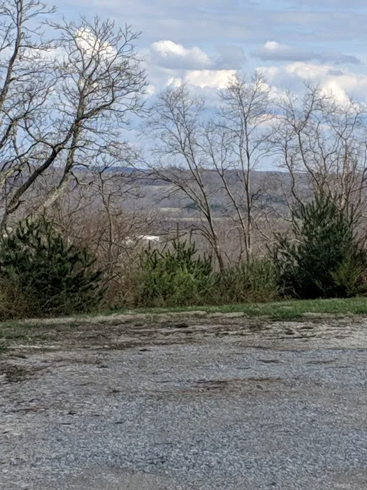 C and T Campground Picture 4