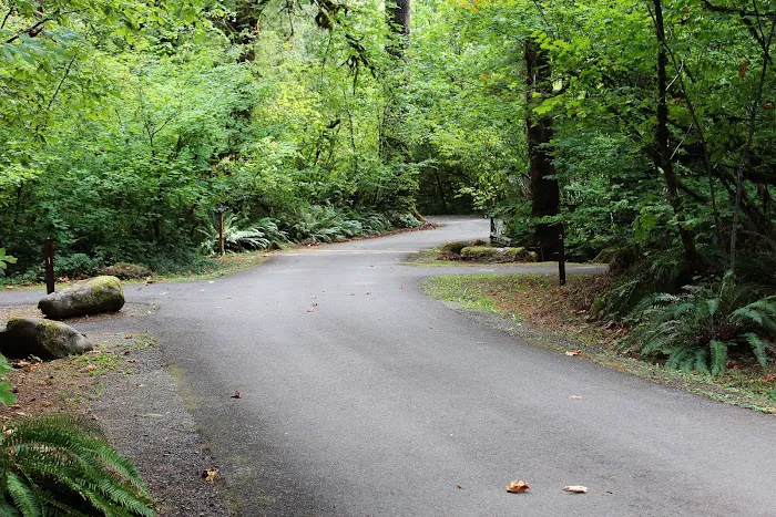 Rock Creek Recreation Site Picture 4