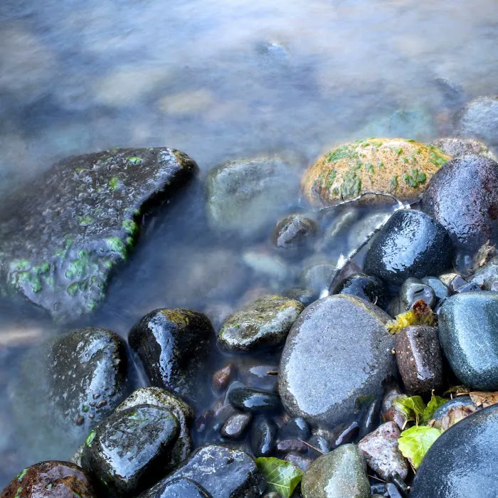 Steamboat Ball Field Group Campground Picture 6