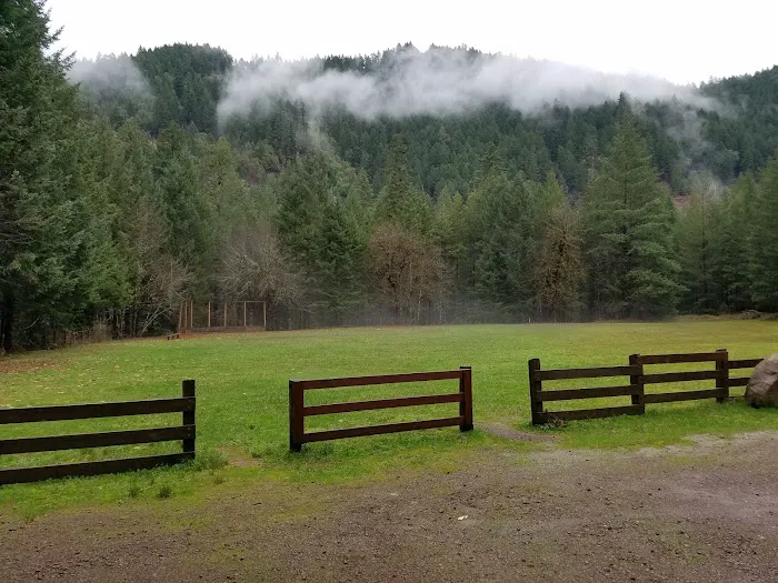 Steamboat Ball Field Group Campground Picture 1
