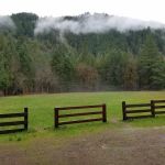 Steamboat Ball Field Group Campground