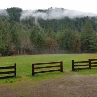 Steamboat Ball Field Group Campground ico