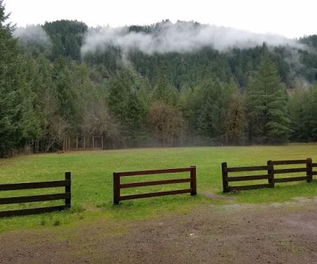 Steamboat Ball Field Group Campground
