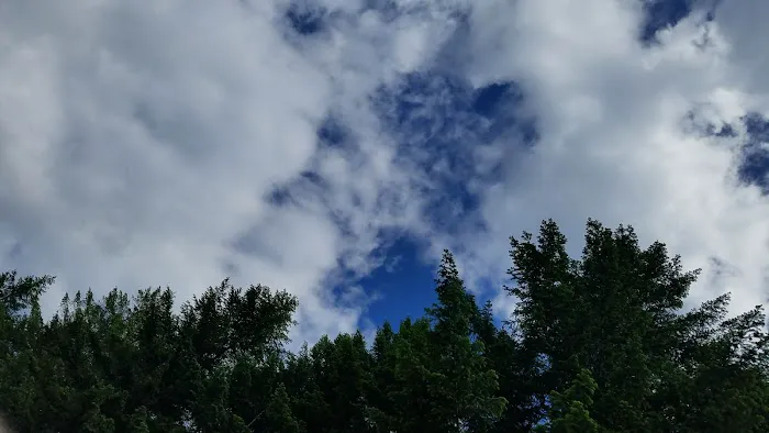 Steamboat Ball Field Group Campground Picture 10