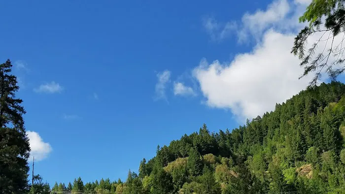 Steamboat Ball Field Group Campground Picture 8