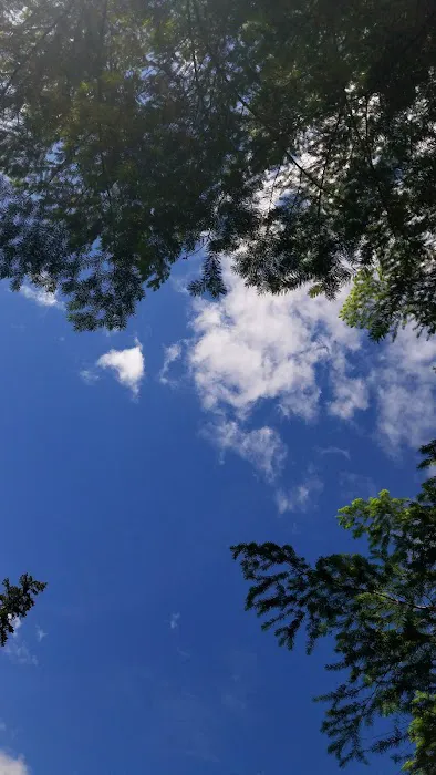 Steamboat Ball Field Group Campground Picture 9