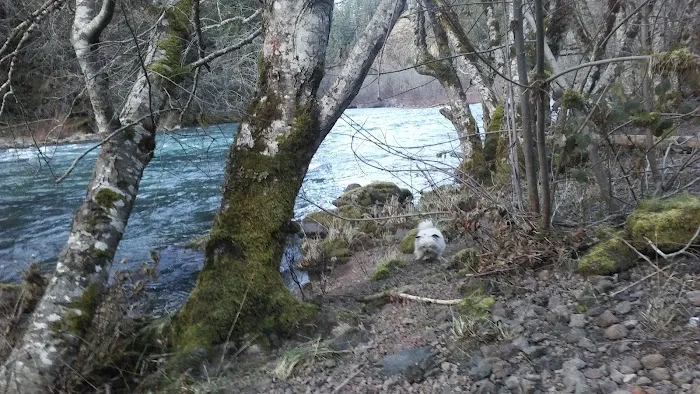 Steamboat Ball Field Group Campground Picture 7