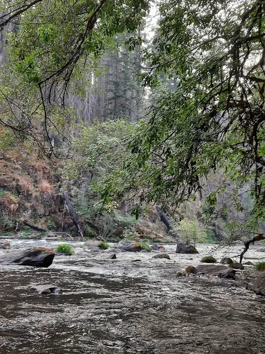 Island Campground Picture 3