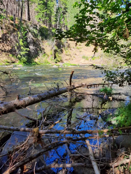 Island Campground Picture 8