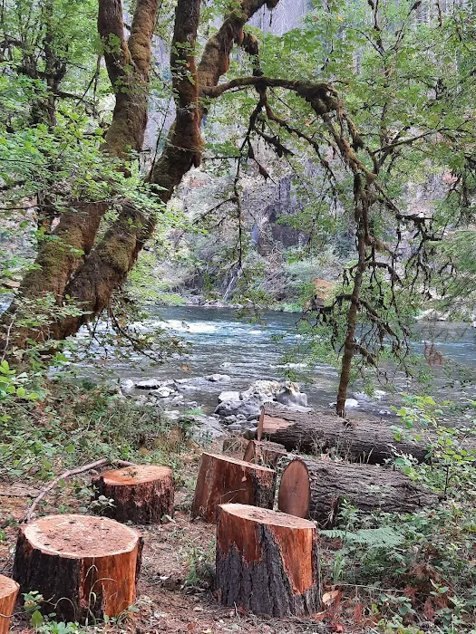 Island Campground Picture 4