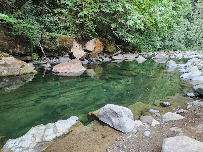 Island Campground Picture 7