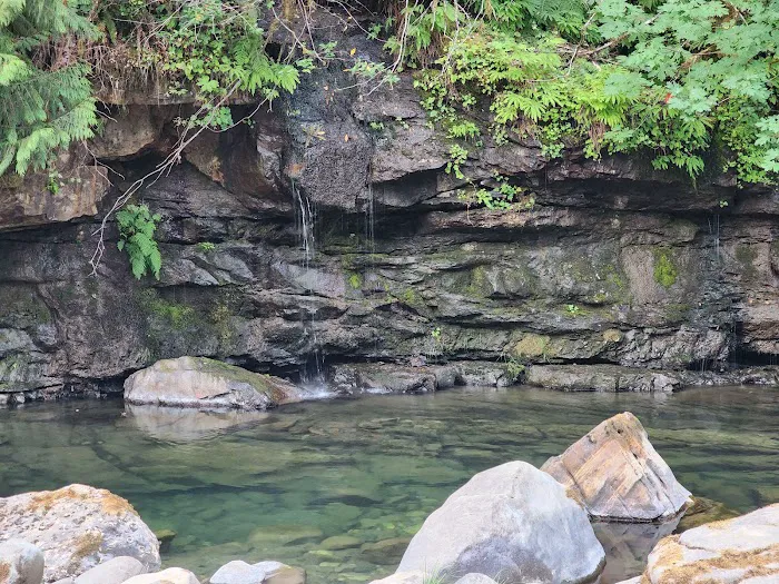 Island Campground Picture 6