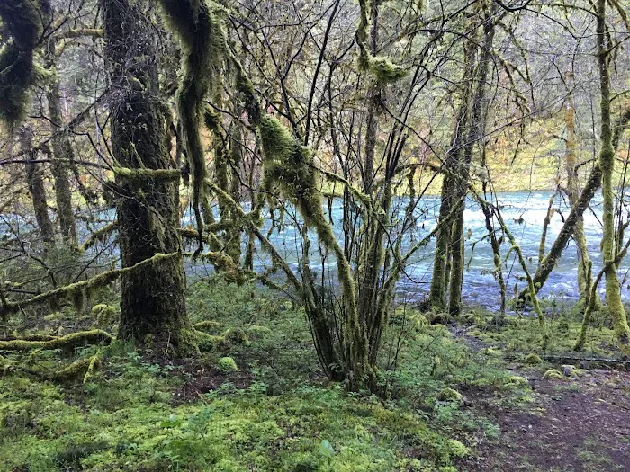 Island Campground Picture 1