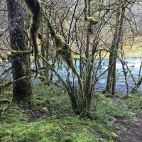 Island Campground ico