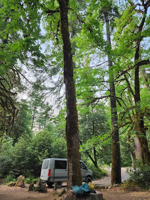 Island Campground Picture 10