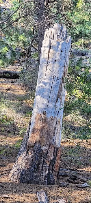 Crescent Creek Campground Picture 1