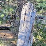 Crescent Creek Campground