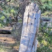 Crescent Creek Campground ico