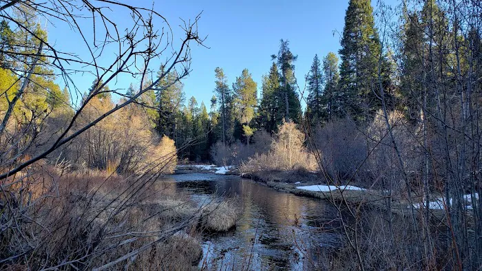 Crescent Creek Campground Picture 4