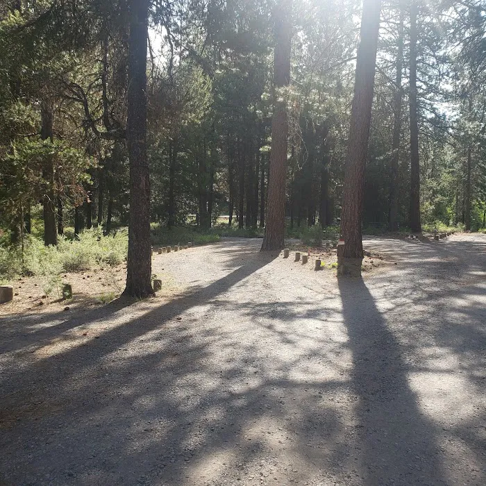 Crescent Creek Campground Picture 9