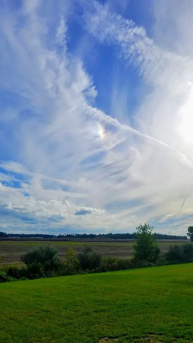 Bennington Springs Picture 3