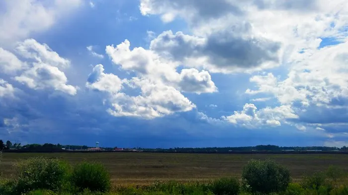 Bennington Springs Picture 4