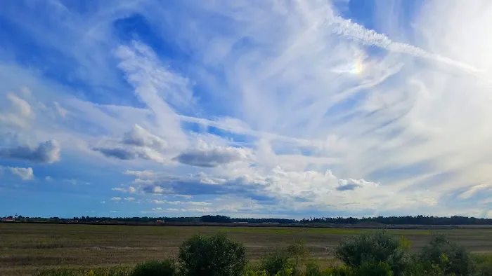 Bennington Springs Picture 2