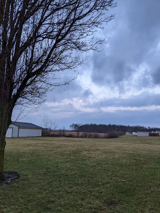 Bennington Springs Picture 8