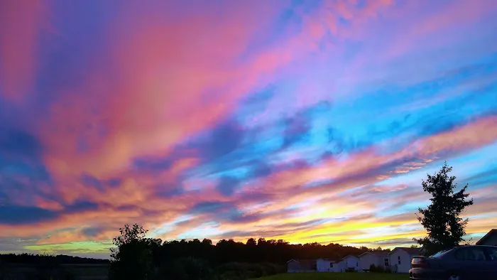 Bennington Springs Picture 7