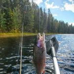 Smith Lake Campground