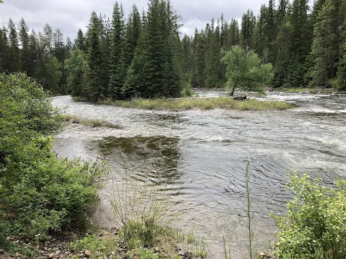 Sliver Spoon Picture 3