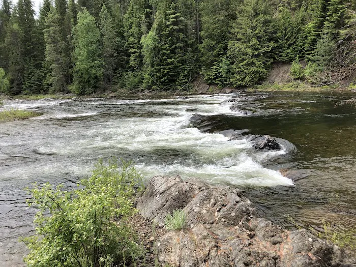 Sliver Spoon Picture 4