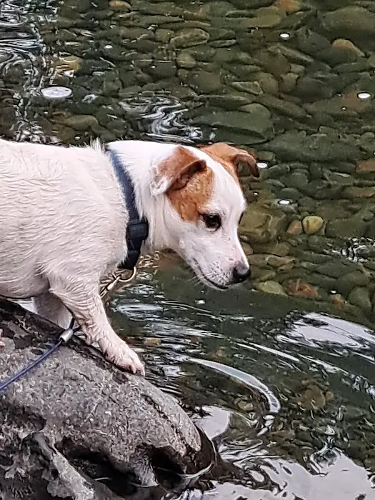 Sliver Spoon Picture 1