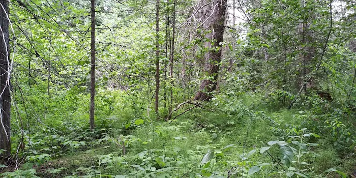 Meadow Creek Campground Picture 3