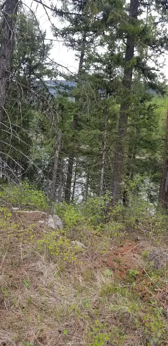 Brush Lake Campground Picture 9