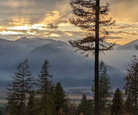 Brush Lake Campground