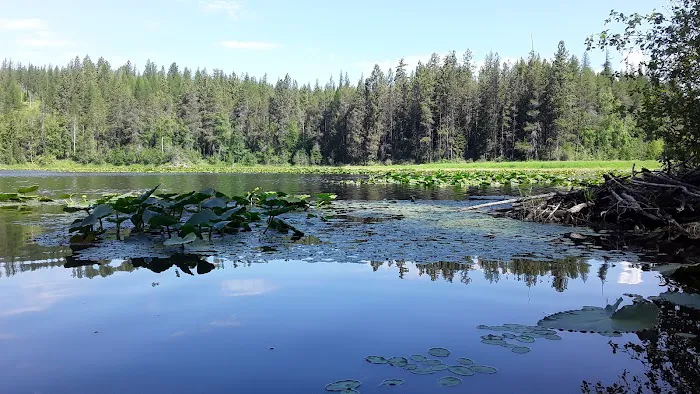 Brush Lake Campground Picture 4
