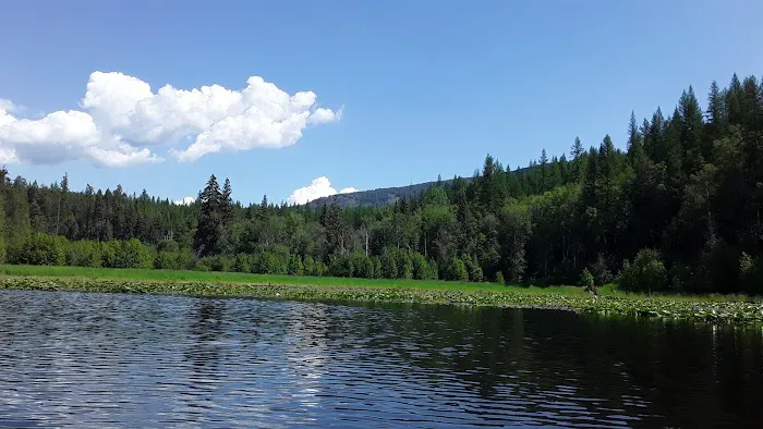 Brush Lake Campground Picture 5
