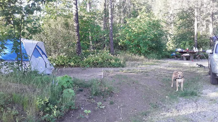 Brush Lake Campground Picture 7