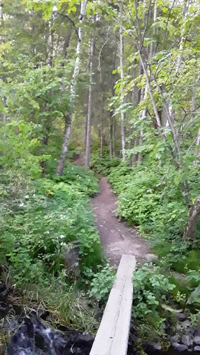 Brush Lake Campground Picture 8